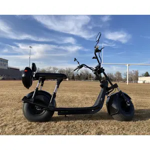 संयुक्त राज्य अमेरिका गोदाम 2 पहिया वसा टायर लंबी दूरी Electrica स्कूटर मोटरसाइकिल वयस्कों के लिए
