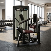 Appareil de fitness multifonctionnel commercial en acier pour entraînement de la taille et des muscles abdominaux, machine rotative pour le tronc, pile de poids de 75 kg