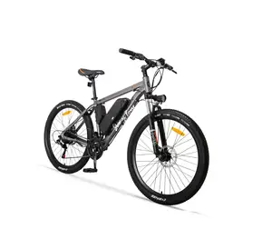 Outstanding Quality Dirt Bike Electric City Easy Rider Mountain Electric Bike