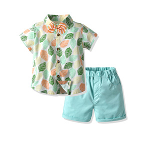 Conjunto de Ropa de Verano para Niños, Pantalones Vaqueros Elegantes y Frescos Estilo Hawaiano para Bebés con Pantalones Cortos de China - Product Image 1