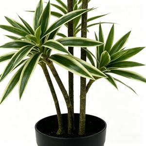Home Indoor Decoration With Artificial Lily Bamboo <b>Pot</b> Simulation Green Indoor Plant Bamboo <b>Tree</b> - Product Image 6