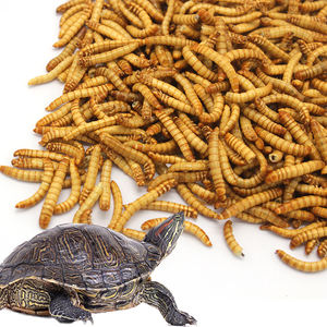 Alimento pequeno do aquário da mealworm da proteína alta, alimentação do pássaro do peixe da frango do alimento - Product Image 5