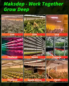 MAKSDEP sottobosco 120W pianta domestica che cresce luce sotto la tettoia a spettro completo Led coltiva striscia di luce