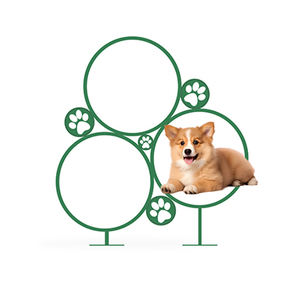 Equipo redondo de reproducción personalizado de fábrica, equipo de parque para perros, rampa para caminar para perros, arco, barril Wow, obstáculos de agilidad de salto ajustables - Product Image 3
