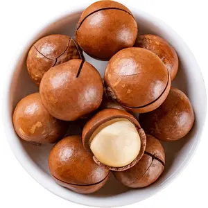 Frutos secos de Macadamia salados y cremosos, sabores cremosos o de vainilla, 20-25mm, venta al por mayor