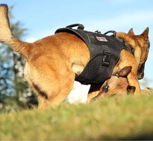 Arnés táctico de entrenamiento para perros al aire libre, sin tirar, Clip frontal, chaleco reflectante de trabajo para mascotas, arnés de perro grande de fácil <span class=keywords><strong>Control</strong></span> - Product Image 6
