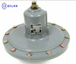 Pack de montage sur châssis FISHER pour commande électrique avec régulateur de pression de gaz combustible 95L, support OEM - Product Image 4