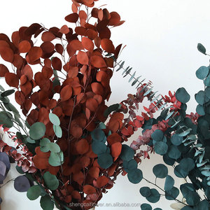 Naturale essiccato eucalipto populus foglie di mela tecnologia conservata essiccazione per fiori decorativi ghirlande e piante <span class=keywords><strong>rose</strong></span> - Product Image 3