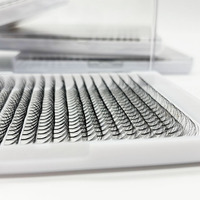 Fournitures 2d 3d 4d 5d 6d 7d 8d 10d Ventilateurs préfabriqués en vrac 0.05 0.07 Vente en gros Ventilateurs préfabriqués noirs souples à tige courte Cils