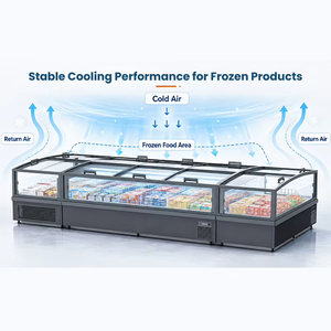 Congélateur d'îlot commercial sur mesure pour supermarché avec fenêtre vitrée <span class=keywords><strong>large</strong></span> pour la présentation en gros de produits surgelés, viandes et fruits de mer - Product Image 5