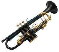 Eastern Music Pro Use Bb Key Shiny Black Plated Brass Beginner-Friendly Trumpet TR-805F 11.66MM Bore