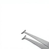 Pinces de fixation 3 7/8 pouces, mâchoire dentée de 10,0 mm de large, poignée plate, certifiées CE, pour tissus chirurgicaux