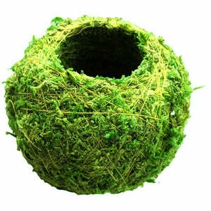 Terrarium &amp; Vivarium Decor, Crested Gecko Tank Decor PET CAGE <strong>REPTIL</strong> Enclosure HIDING PLACE Artificial Moss Cave Pet Decoration - Product Image 2