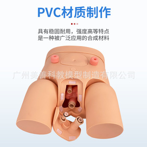 Molde para cateterización urinaria, cateterización urinaria avanzada para genitales internos y externos masculinos y femeninos, intercambiables. - Product Image 1