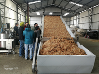 Machine de séchage pour herbes, fleurs et feuilles, capacité de 1 à 30 tonnes, pour feuilles de laurier, clous de girofle, romarin, persil, basilic, thym