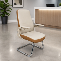 Chaise de bureau exécutive à structure en acier, accoudoirs réglables, siège coulissant, base cantilever, design ergonomique, résistante aux taches