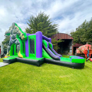 Diskon besar Luncur tiup untuk anak-anak istana pantul Spiderman untuk rumah Kastil lompat untuk dijual Kastil pantul untuk anak-anak - Product Image 4