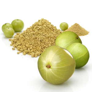 Fournisseur en gros de poudre de fruit d'Amla 100% pure et naturelle de qualité supérieure pour la brillance des cheveux, en provenance d'Inde - Product Image 1