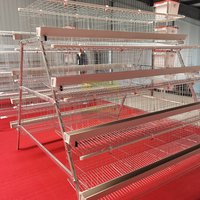 Nouvelle cage à poulets en acier galvanisé à chaud de type A à 4 portes et 4 niveaux, avec collecte automatique des œufs, haute résistance à la corrosion, CE