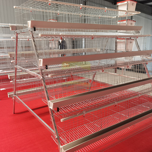 กรงไก่ 4 ชั้น 4 ประตู แบบชุบสังกะสีร้อน พร้อมระบบเก็บไข่อัตโนมัติ สำหรับฟาร์มสัตว์ปีก - Product Image 5