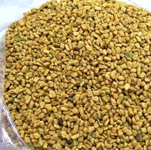 Hot bán số lượng lớn tự nhiên Fenugreek chiết xuất hạt giá rẻ cho tinh khiết Fenugreek dầu thảo mộc khô bột hình thức mù tạt phong cách nguyên - Product Image 3