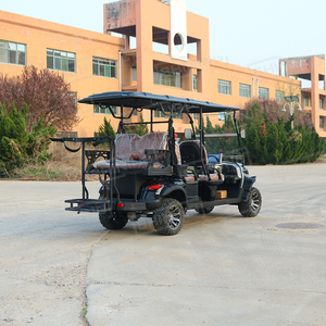 Shininglsv New Model <strong>Custom</strong> Electric Vehicle Utility Off-road Lithium Battery Cool Street Legal <strong>Golf</strong> <strong>Carts</strong> - Product Image 6