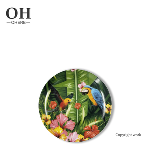 Autocollant <span class=keywords><strong>de</strong></span> perroquet coloré sur porcelaine émaillée fournitures <span class=keywords><strong>de</strong></span> fête <span class=keywords><strong>jetables</strong></span> Style ensemble <span class=keywords><strong>de</strong></span> vaisselle en céramique-assiette à salade plat à salade - Product Image 5