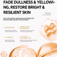 Ensemble de sérum et crème pour le visage YSJ à base de vitamine C, de niacinamide et d'acide hyaluronique, éclaircissant, anti-rides, hydratant, pour peaux sensibles/tous types de peau