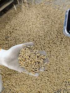 Máquina Peletizadora de Alimentos para Animales, Máquina para Hacer Pellets de Alimento para Aves de Corral <span class=keywords><strong>y</strong></span> Ganado - Product Image 3