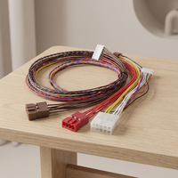 Harnais de câblage personnalisé pour table de mahjong, générateurs à essence, voiturettes de golf électriques et motos avec connecteur JST PH2.0 IP66