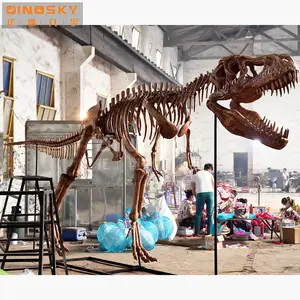 Professionele Fabriek Op Maat Gemaakte Realistische Tentoonstelling Dinosaurus Schedel Bot Fossiele Dinosaurus Skeletten