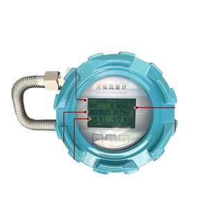 Débitmètre de gaz numérique bibo professionnel 12-24V haute performance longue durée 4-20mA - Product Image 2