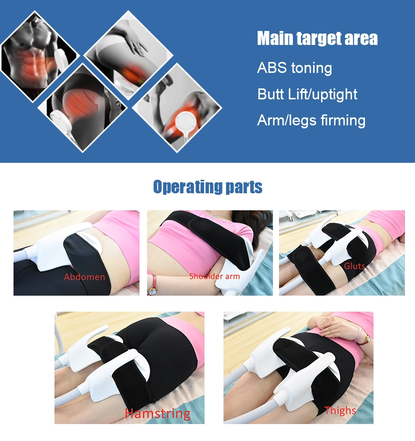 High Intensity 150Hz Ems Fat Burning Machine Sgs Approved