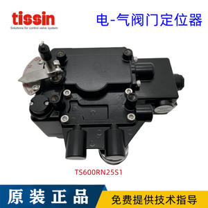 Vannes de régulation coréennes Tessen TS600L à course linéaire et positionneurs rotatifs TS600R à course linéaire - Product Image 3