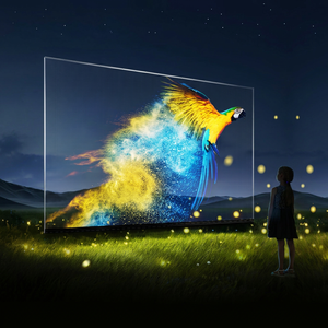Pantalla LED Transparente para Montaje en Pared Interior 178 °   Ángulo de Visión, Color Azul Claro, Uso Publicitario - Product Image 1