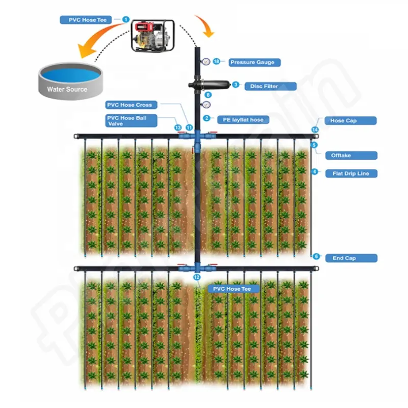 1 Hectare Ontwerp Agrarische Druppelirrigatie Systeem