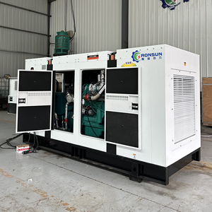20KW 30KW 50KW 100KW 150KW 200KW 300KW 400KW 500KW Gas naturale Biogas CNG metano generatore CHP Biogas purificazione - Product Image 3