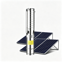 Pompe solaire submersible à double usage AC/DC, haut débit, grand calibre, pour l'irrigation agricole, en acier inoxydable, pour puits profonds