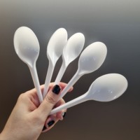 Cuillère en plastique de haute qualité cuillères de qualité alimentaire réutilisables durables pour l'approvisionnement de restauration de restaurant de cuisine