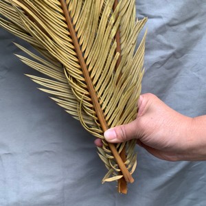KEWEI T483 Hojas Secas de <span class=keywords><strong>Cycas</strong></span> y Palma Más Vendidas, Planta Natural de 80 cm, Decoración Boho para Bodas, Navidad y Pascua - Product Image 6