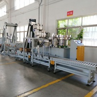 Feiyu – Machine d'emballage automatique de sac en plastique de boîte de Carton de comptage de clous de fil de vis