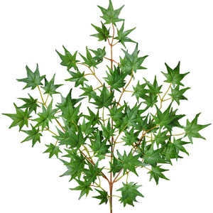 Feuilles d'érable artificielles Flower Delight, 30cm-100cm, fleurs en soie haute simulation pour décorations de maison et de mariage - Product Image 5
