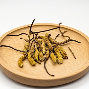 Cordyceps Sinensis Jamur Ulat Cacing Cina Dong Chong Xia Cao Berkualitas Tinggi Alami Utuh Kelas Atas - Product Image 3
