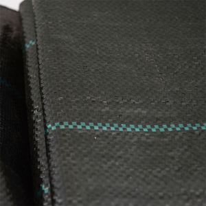 <span class=keywords><strong>Malla</strong></span> antimalezas resistente - Product Image 4