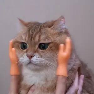 猫の指スリーブミニハンドモデルシリコン小さな手袋猫のマッサージツールペットの猫のおもちゃハロウィーンギフト