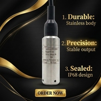 Capteur de niveau d'eau hydrostatique submersible 0-100m, précision 0,25%, sortie 4-20mA 0-10V, en acier inoxydable 316SS, pour la mesure du niveau de piscine