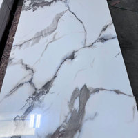 Panneaux et planches muraux en PVC marbré imperméables et traités anti-UV 1220*2800mm 5mm/8mm pour usage intérieur Appartements