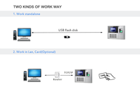 Software de Control de Horarios para Empleados Basado en la Nube Witeasy, Lector Biométrico de Huellas Dactilares con Wi-Fi, Función de Reinicio, Control de Asistencia Preciso