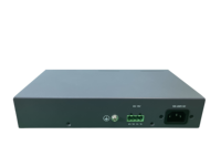 Rayin 1U 2-Port Mini OLT 2 port GPON olt 2 port XGSPON olt 2 port combo olt 1GE Fiber Optic 5G POE 2 port olt