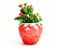 Pot de fleurs créatif en résine en forme de fraise, pot à succulentes, vase de jardin pour la décoration extérieure de balcon